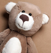 Collection of Teddy Bears Collection of Teddy Bears